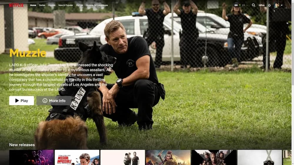 Netflix Clone project screenshot